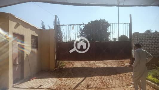 عقارات تجارية اخرى  للبيع في المنصورية، الجيزة - ١٠ قيراط فرصه للبيع على طريق المنصوريه العمومى