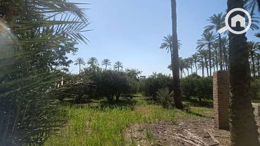 عقارات تجارية اخرى  للبيع في المنصورية، الجيزة - ٦ فدان للبيع طريق المنصوريه