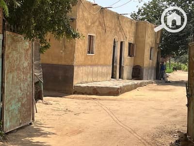 زراعي  للبيع في المنصورية، الجيزة - ٤ ونص فدان للبيع بالمنصوريه