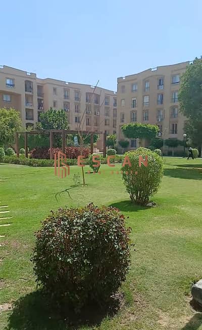 شقة 2 غرفة نوم للايجار في القاهرة الجديدة، القاهرة - WhatsApp Image 2025-07-16 at 19.15. 45_9e92b7bd. jpg