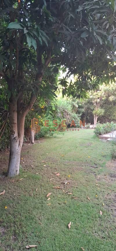 فیلا 3 غرف نوم للبيع في القاهرة الجديدة، القاهرة - WhatsApp Image 2025-05-31 at 8.32. 55 AM. jpeg