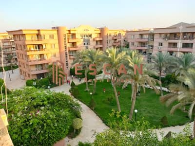 2 Bedroom Apartment for Rent in New Cairo, Cairo - IMG-20250706-WA0538. jpg