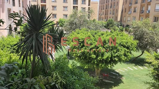 3 Bedroom Apartment for Rent in New Cairo, Cairo - WhatsApp Image 2025-07-30 at 4.49. 59 AM (2). jpeg