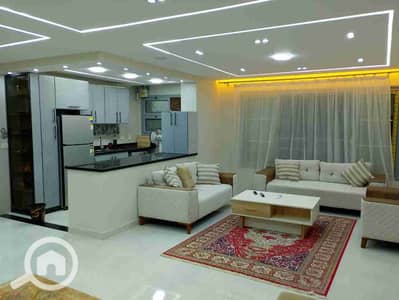 3 Bedroom Hotel Apartment for Rent in Dokki, Giza - 1000051464. jpg