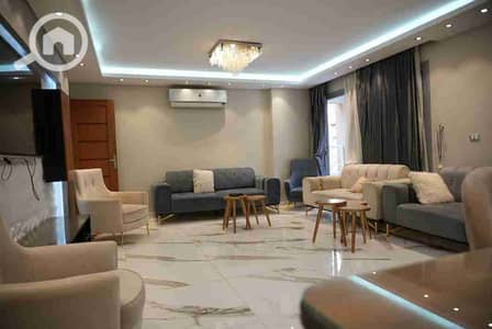 3 Bedroom Hotel Apartment for Rent in Zamalek, Cairo - 1000793053. jpg