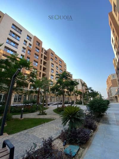 صيدليه  للبيع في العاصمة الإدارية الجديدة، القاهرة - IMG-20241126-WA0350. jpg