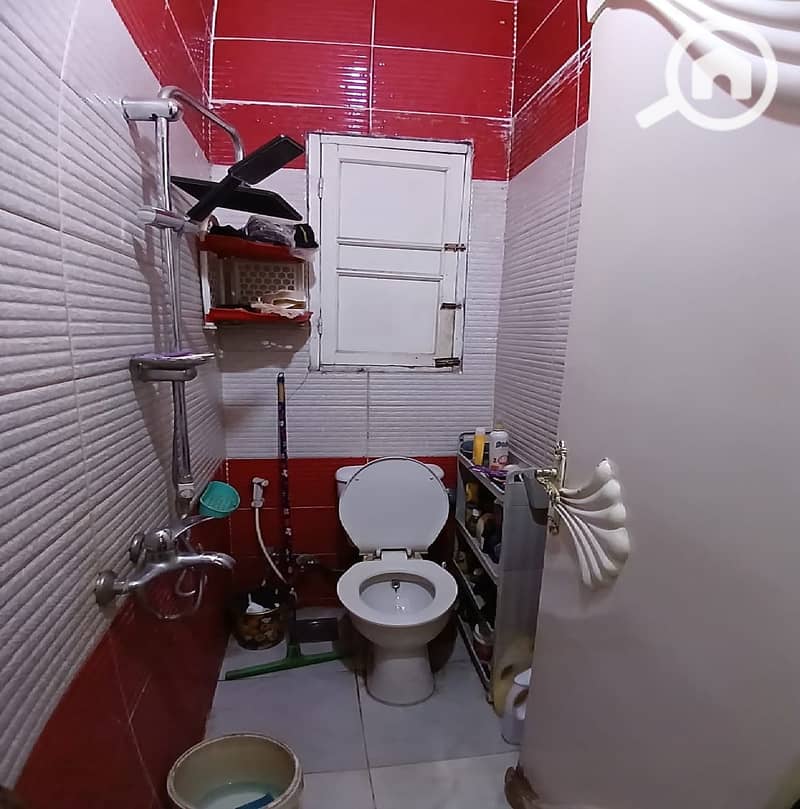 11 5. jpg