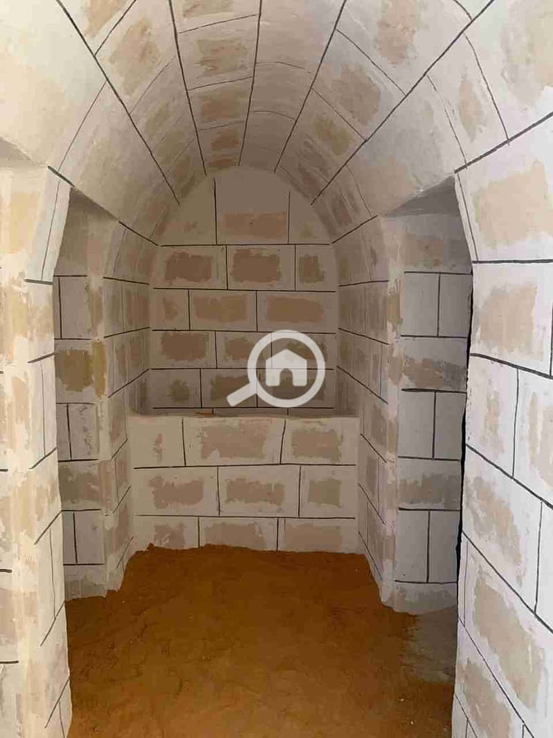 12 1000018173. jpg