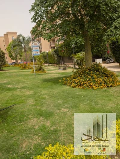 3 Bedroom Flat for Sale in New Cairo, Cairo - 120م حديقه خاصه تشطيب قصور بالمطبخ والنوم بحري موقع متميز