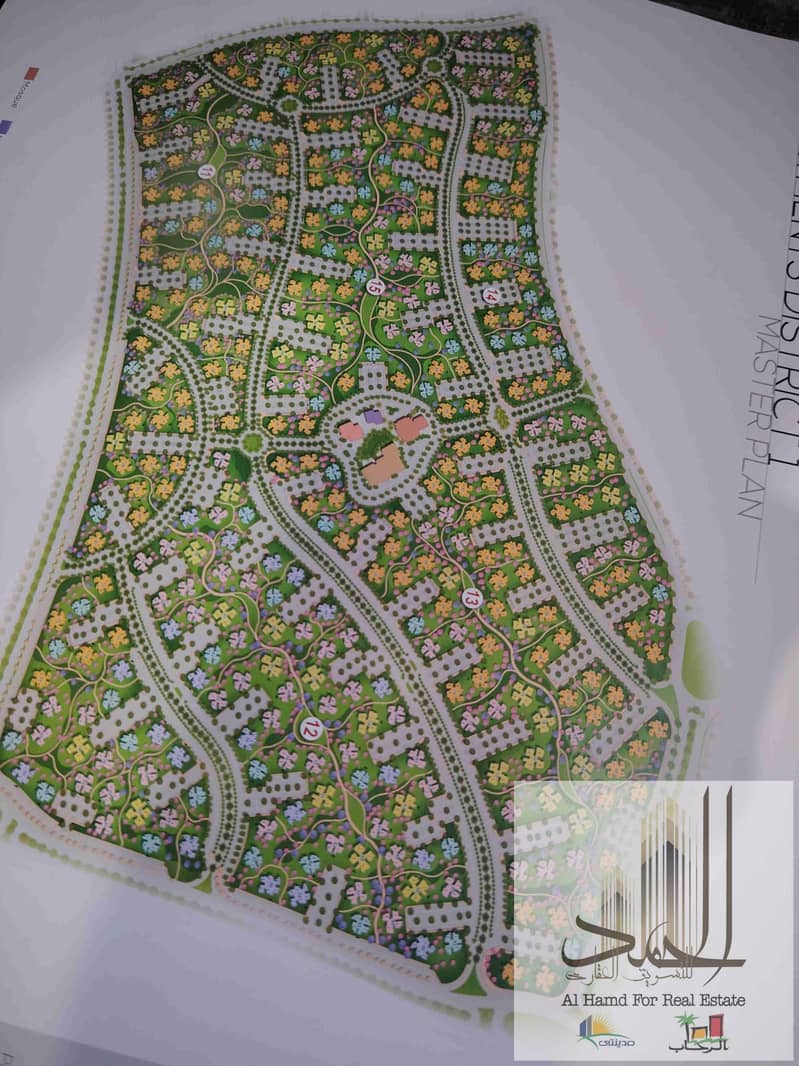 8 1000293594. jpg