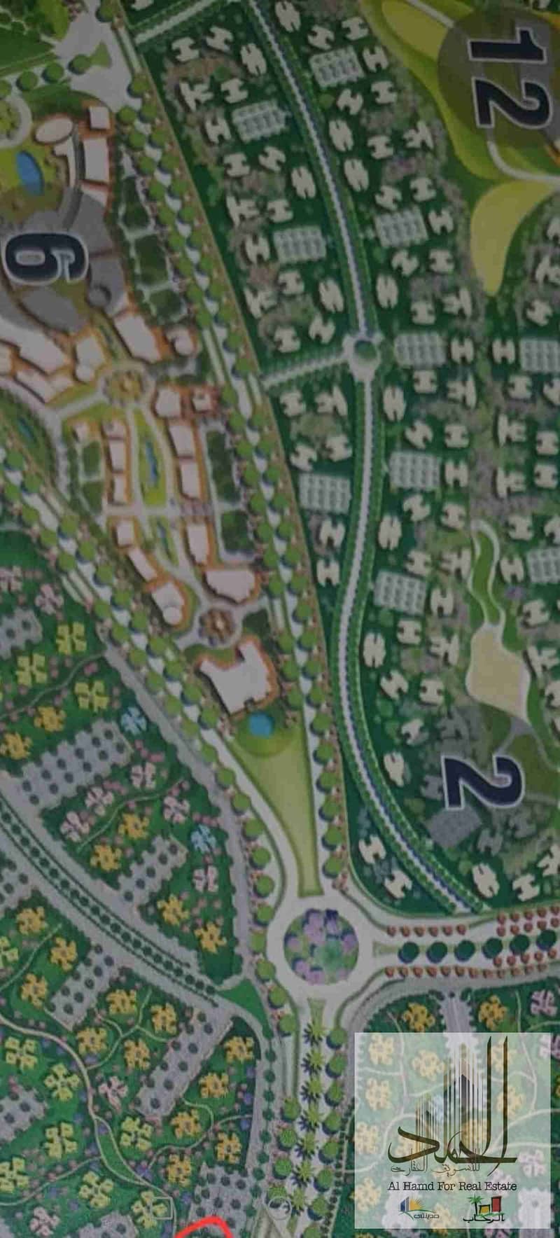 9 1000283533. jpg