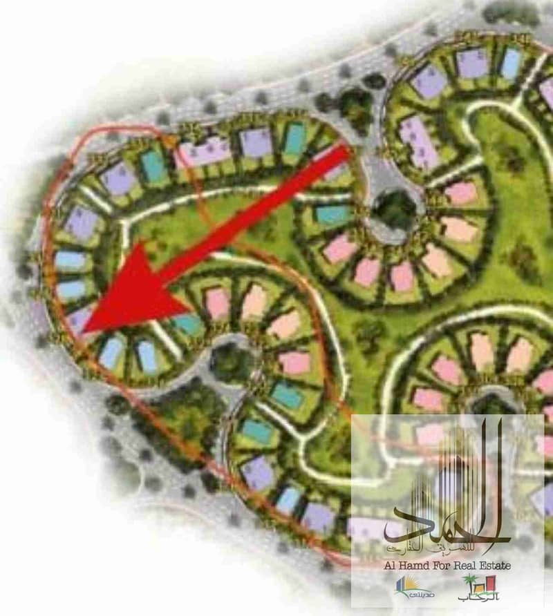2 1000337301. jpg
