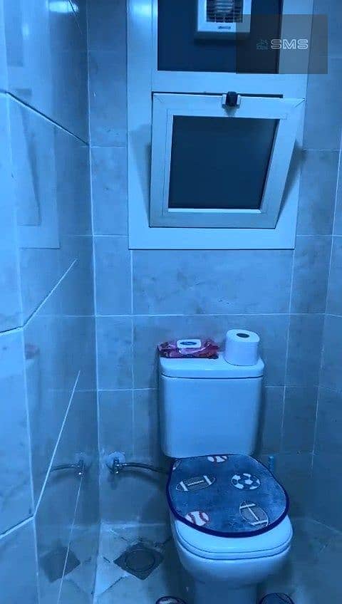 17 008. jpg