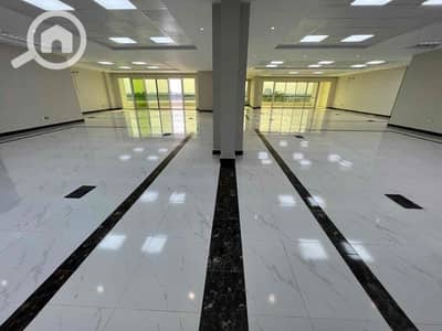 مکتب  للايجار في المعادي، القاهرة - 92c032ae-a99d-4d88-83a7-3fae2916abc4. jpg