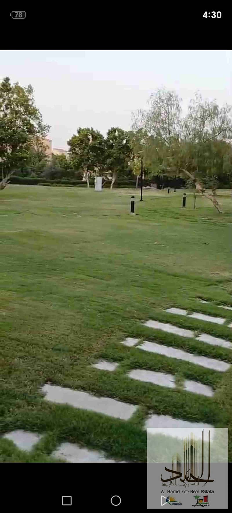 10 1000331290. jpg
