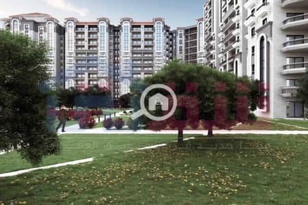 3 Bedroom Flat for Sale in Smoha, Alexandria - WhatsApp Image 2025-08-07 at 3.39. 55 PM (1). jpg