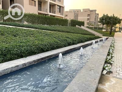 3 Bedroom Flat for Rent in New Cairo, Cairo - 318346237_989102102050971_2144148524428676476_n. jpg