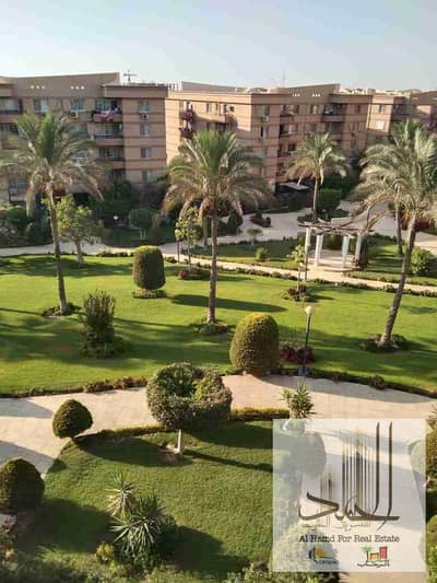 3 Bedroom Apartment for Rent in New Cairo, Cairo - 1000210049. jpg