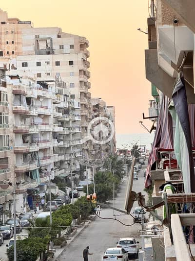فلیٹ 2 غرفة نوم للبيع في النخيل، الإسكندرية - س. jpeg