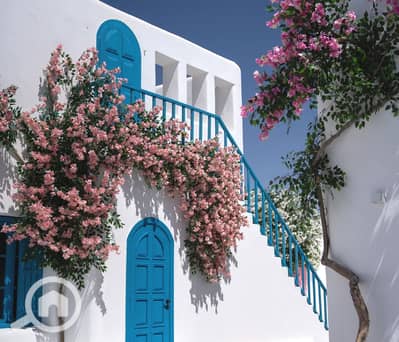 شاليه 3 غرف نوم للبيع في الساحل الشمالي، مطروح - 86eddc49cf4648c88d722bf52d3d06c8. jpg