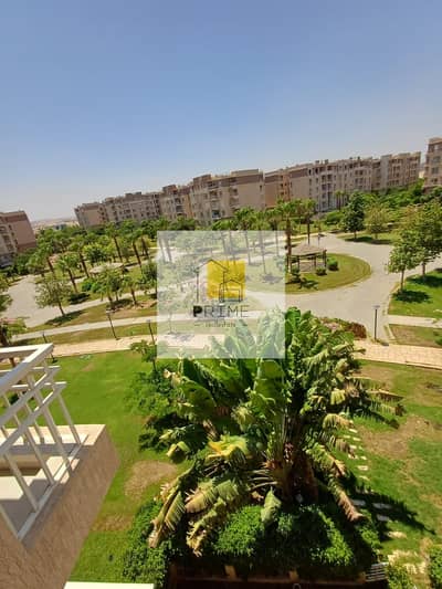 3 Bedroom Flat for Sale in Madinaty, Cairo - WhatsApp Image 2025-08-10 at 15.20. 12_c261a82f. jpg