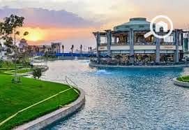 12 تنزيل (2). jpg
