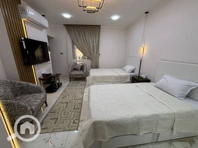 1 Bedroom Hotel Apartment for Rent in Nasr City, Cairo - استوديو للايجار اليومي علي عباس الرئيسي مدينة نصر