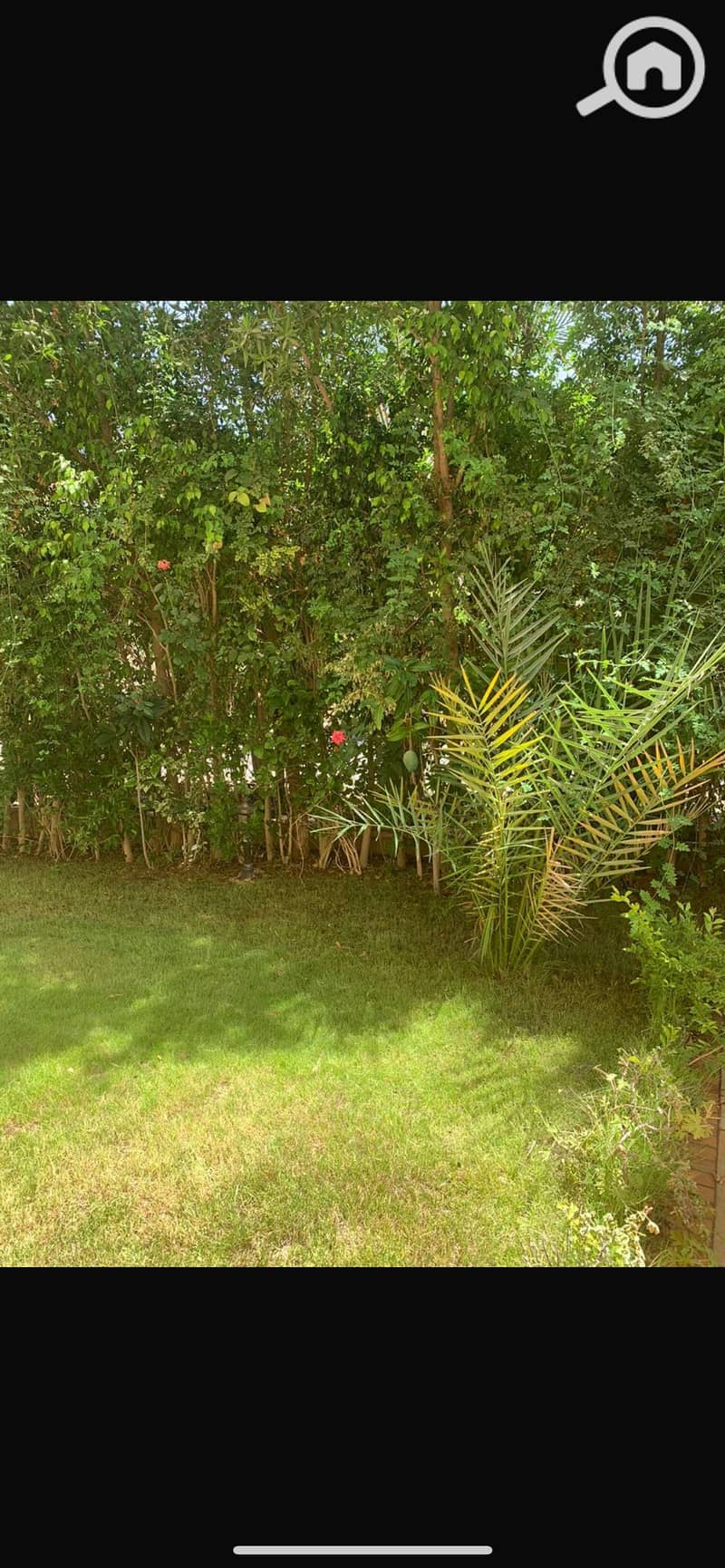 8 IMG_0262. png
