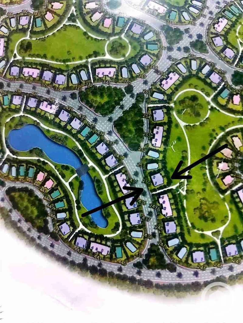 5 1000200375. jpg