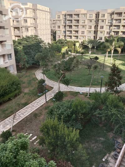3 Bedroom Flat for Sale in Madinaty, Cairo - WhatsApp Image 2025-08-17 at 14.46. 07. jpeg