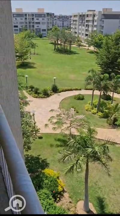 3 Bedroom Apartment for Rent in Madinaty, Cairo - WhatsApp Image 2025-07-21 at 6.03. 40 PM (1). jpeg
