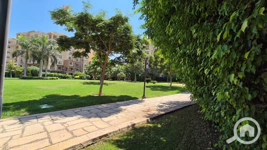 3 Bedroom Apartment for Sale in Madinaty, Cairo - bbcb2930-72af-4c95-87b2-617bdb312927. jpeg