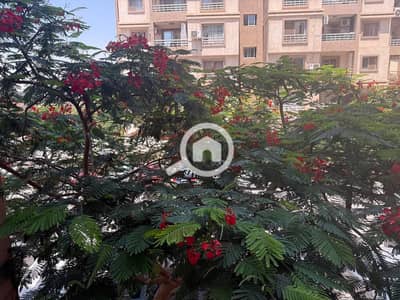 2 Bedroom Flat for Rent in Madinaty, Cairo - WhatsApp Image 2025-08-06 at 10.08. 12 PM (1). jpeg