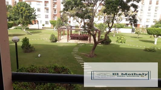 3 Bedroom Flat for Rent in New Cairo, Cairo - 741. . jpg