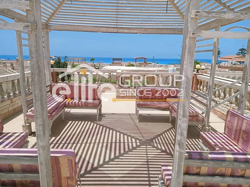 2 صورة واتساب بتاريخ 2025-06-04 في 17.25. 30_11f60355. jpg