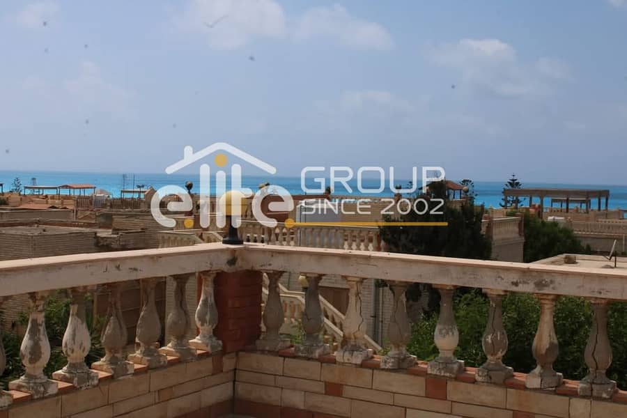 11 صورة واتساب بتاريخ 2025-06-04 في 17.25. 31_37ceddfa. jpg