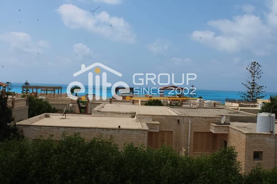 13 صورة واتساب بتاريخ 2025-06-04 في 17.25. 31_bf604420. jpg
