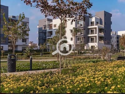 3 Bedroom Flat for Sale in New Cairo, Cairo - 428219161_1788675471641443_8672230997819002941_n (1). jpg