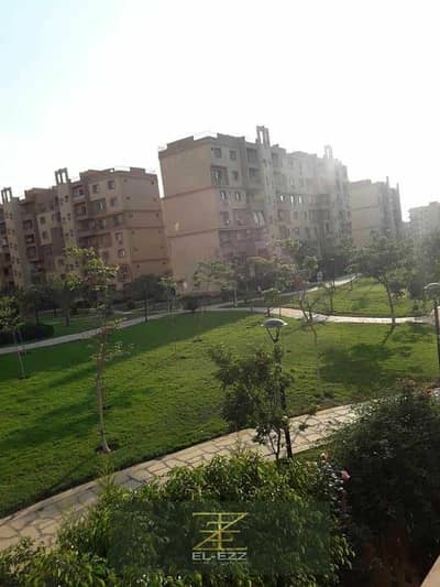 3 Bedroom Apartment for Sale in Madinaty, Cairo - WhatsApp Image 2025-08-10 at 11.01. 06_4185db74. jpg