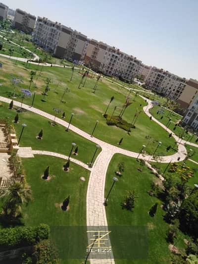 2 Bedroom Flat for Rent in Madinaty, Cairo - WhatsApp Image 2025-08-12 at 10.52. 25_ee2fe2dd. jpg