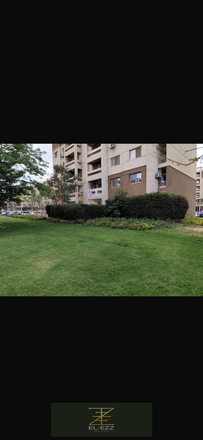 3 IMG_2427. png