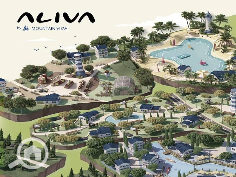 3 ALIVA-0001. jpg