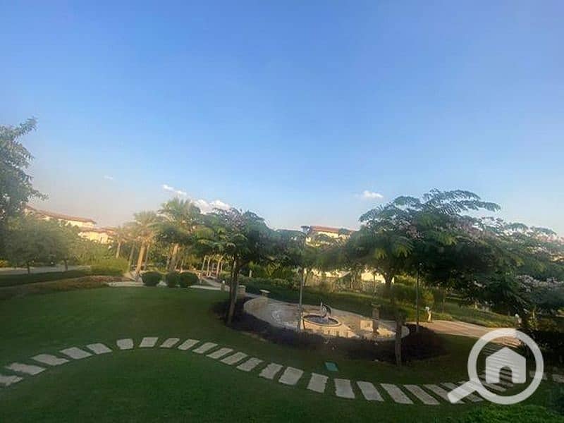 13 3505944-2cf6fo. jpg
