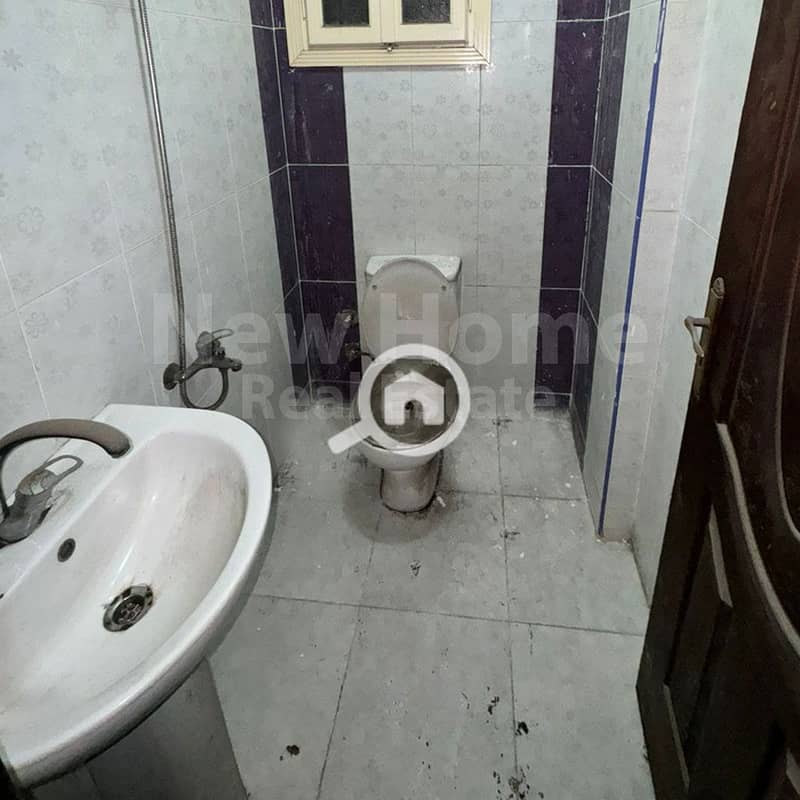 6 5. jpg