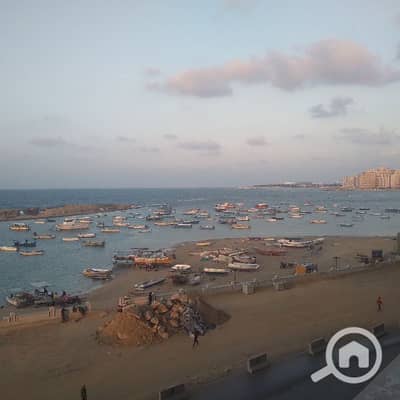 2 Bedroom Apartment for Rent in Miami, Alexandria - شقة مفروشة للإيجار ميامي عالبحر مباشر3000ج