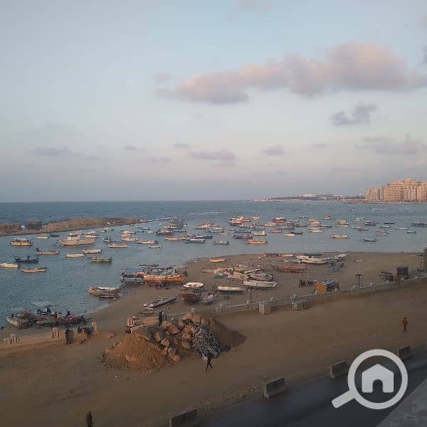 شقة مفروشة للإيجار ميامي عالبحر مباشر3000ج