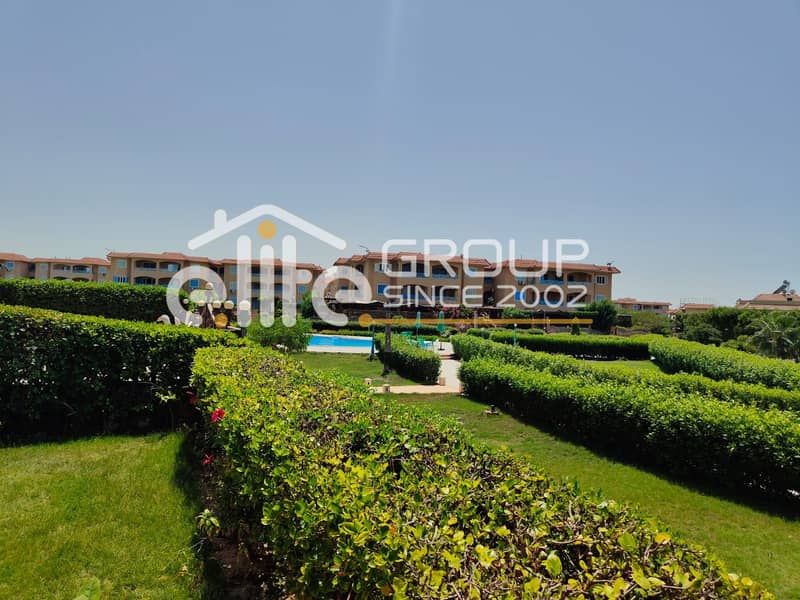 صورة واتساب بتاريخ 2025-08-17 في 17.16. 20_30f2172b. jpg