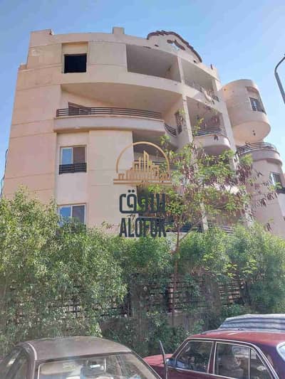 فلیٹ 3 غرف نوم للايجار في القاهرة الجديدة، القاهرة - 1000085036. jpg