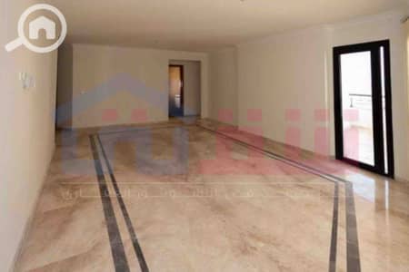 4 Bedroom Flat for Sale in Smoha, Alexandria - IMG-20250804-WA0019. jpg