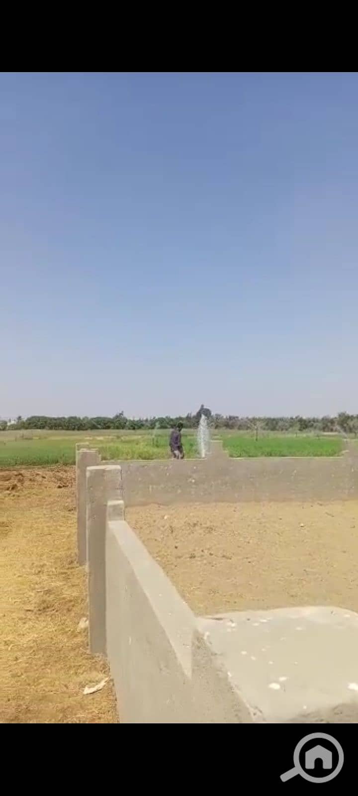 15 1000358319. png